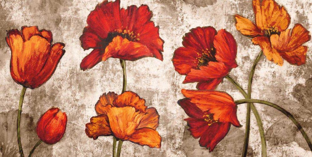 Poppy Paradise