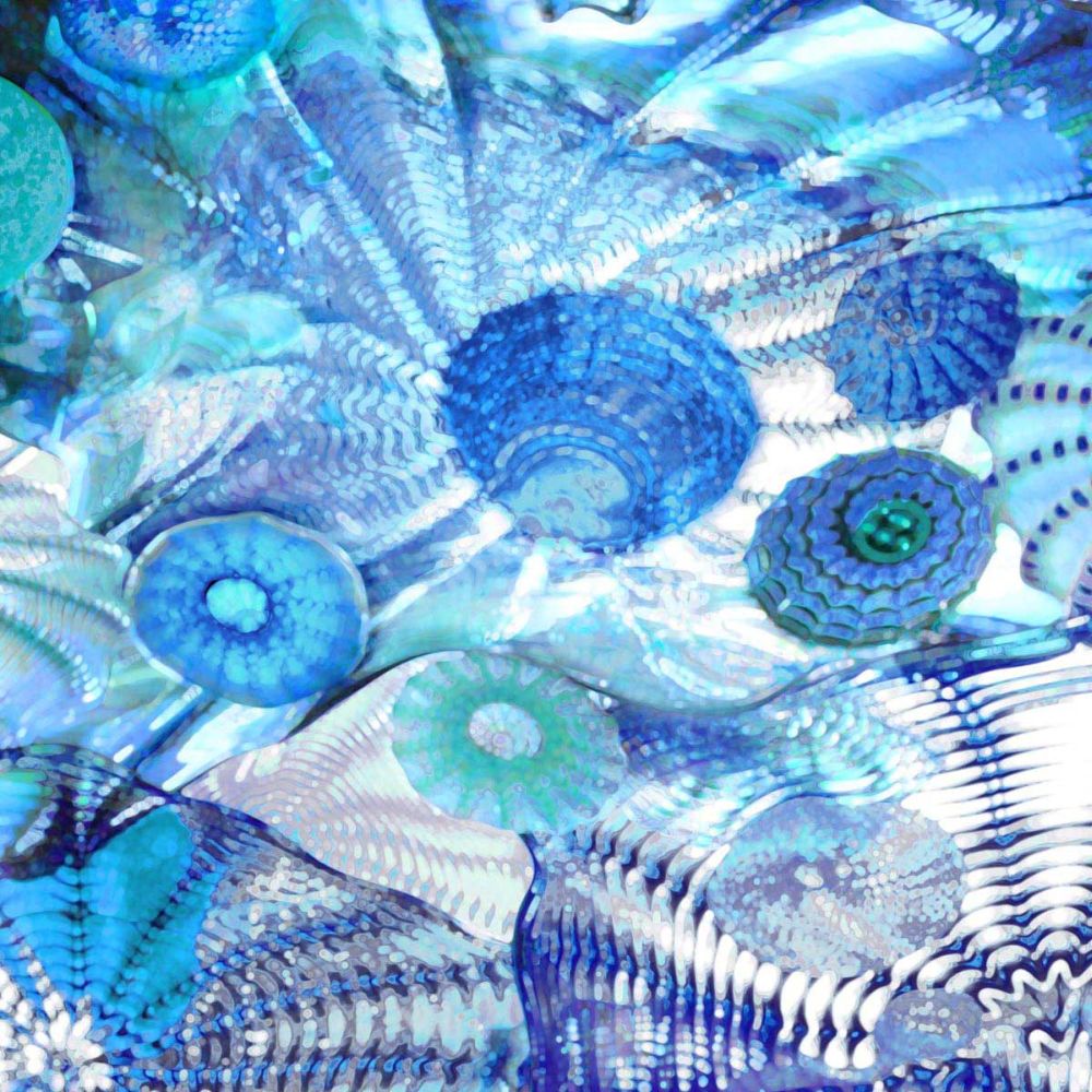 Underwater Perspective II