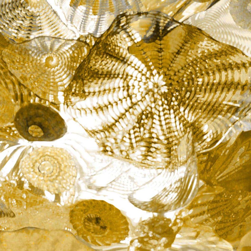 Underwater Perspective in Gold