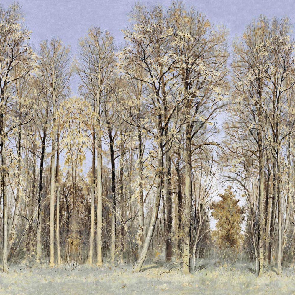 Entrance to the Woods
