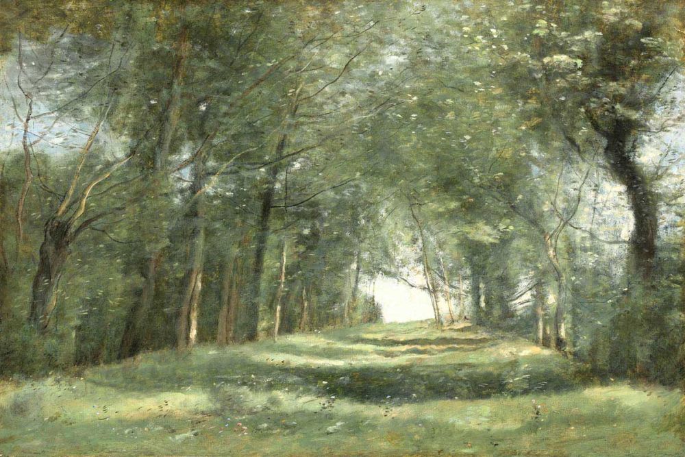 Shaded Path III