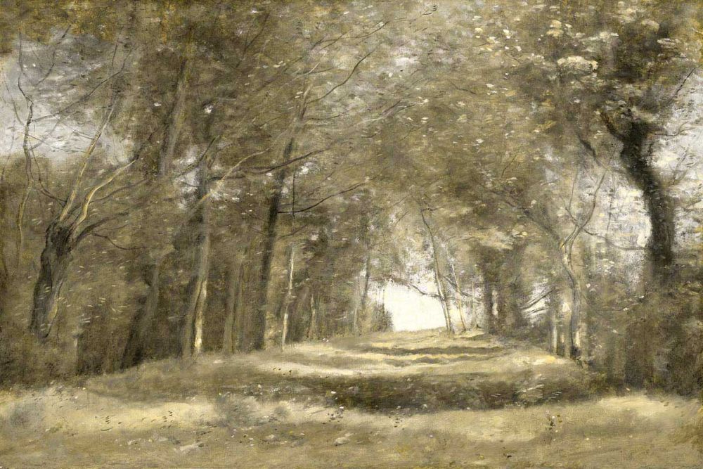 Shaded Path II