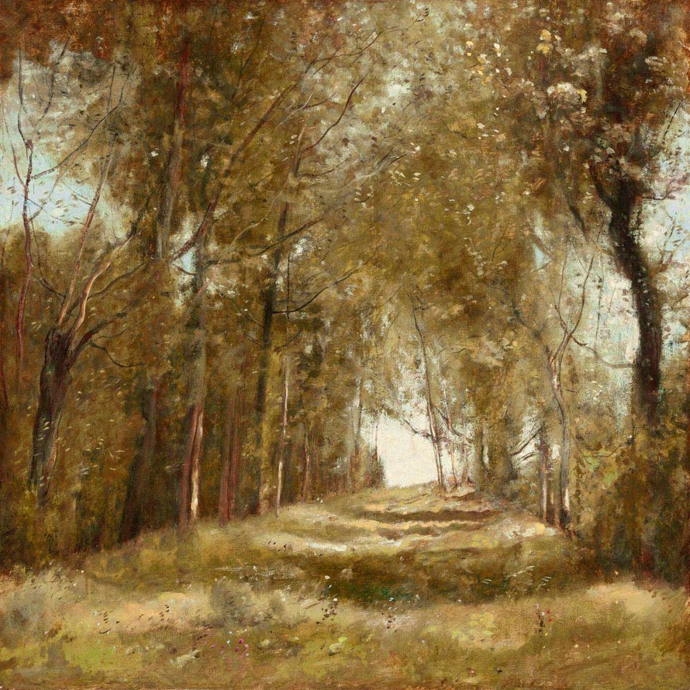 Shaded Path I