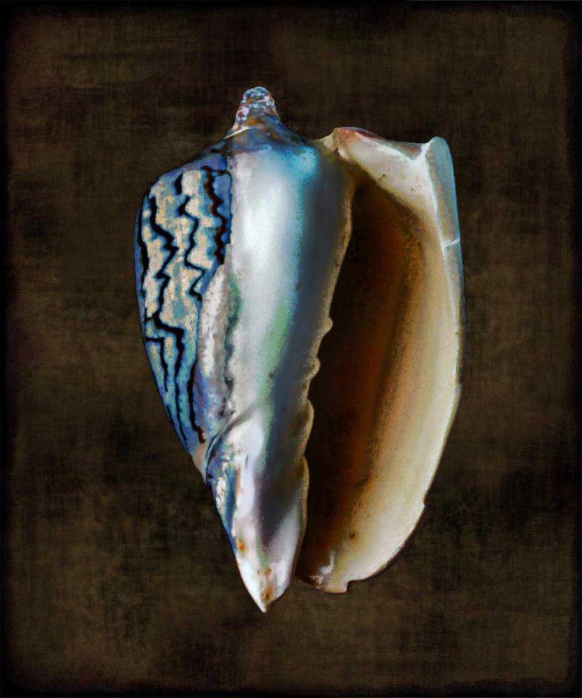 Ocean Treasure I