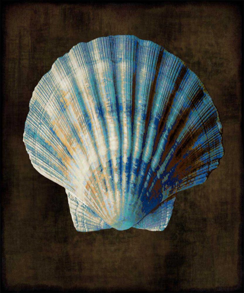 Ocean Treasure II