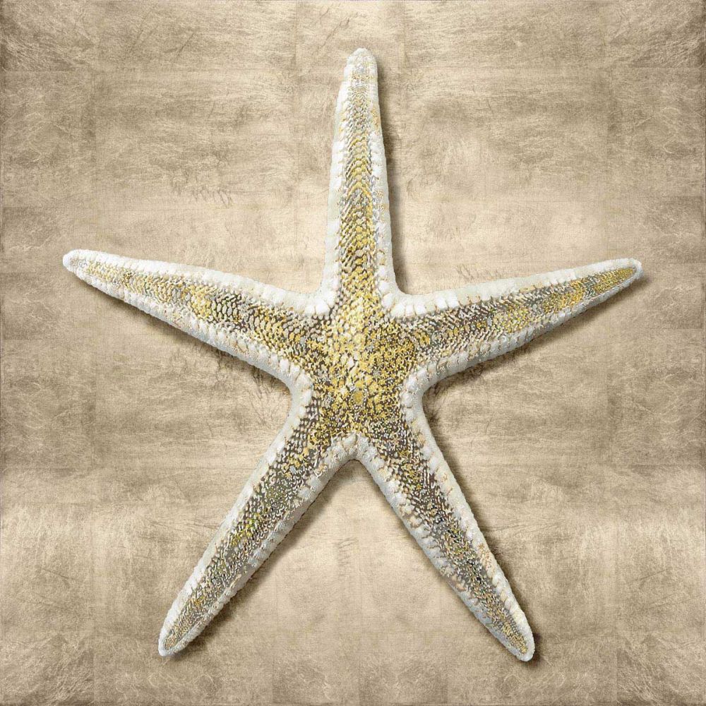 Golden Sea Life I