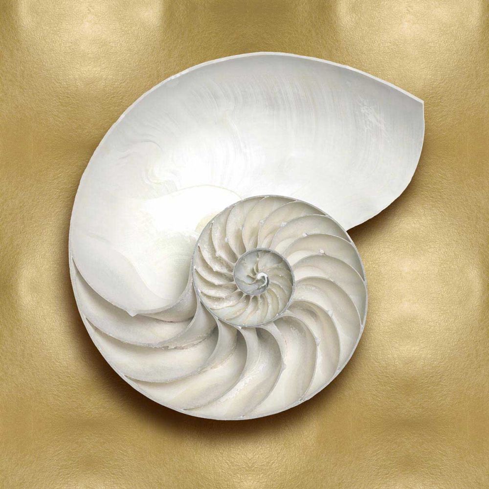 Ocean Gem on Gold II