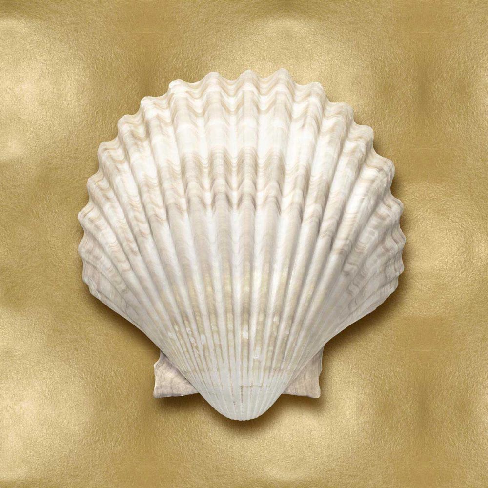 Ocean Gem on Gold IV