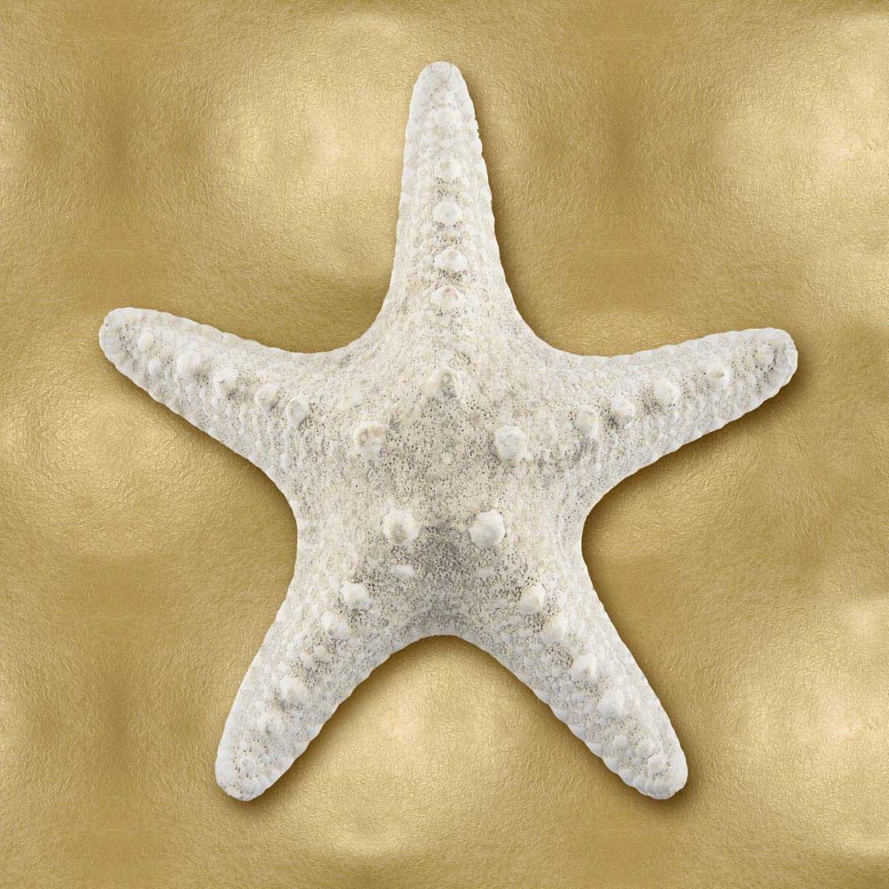 Ocean Gem on Gold VI