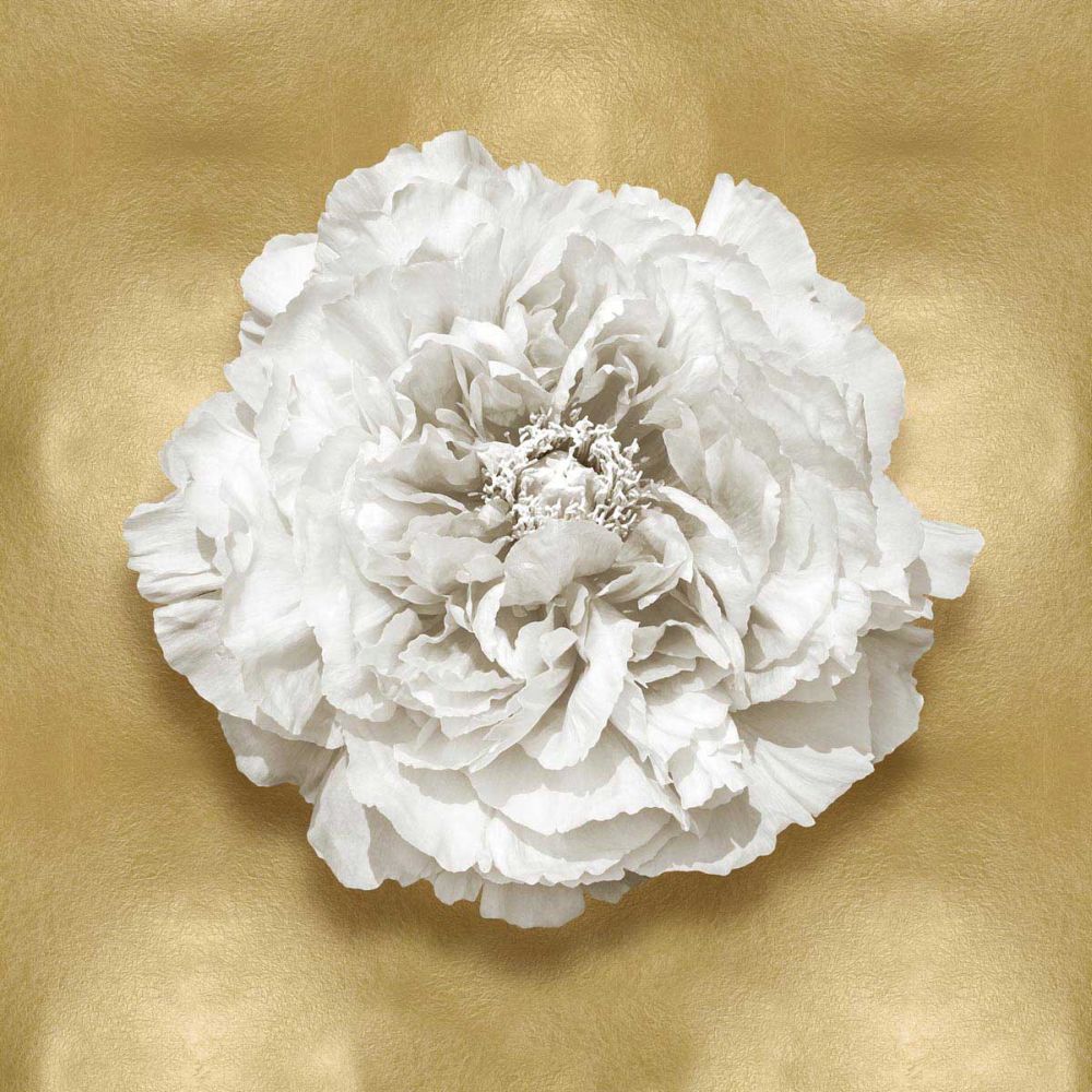 Pure II