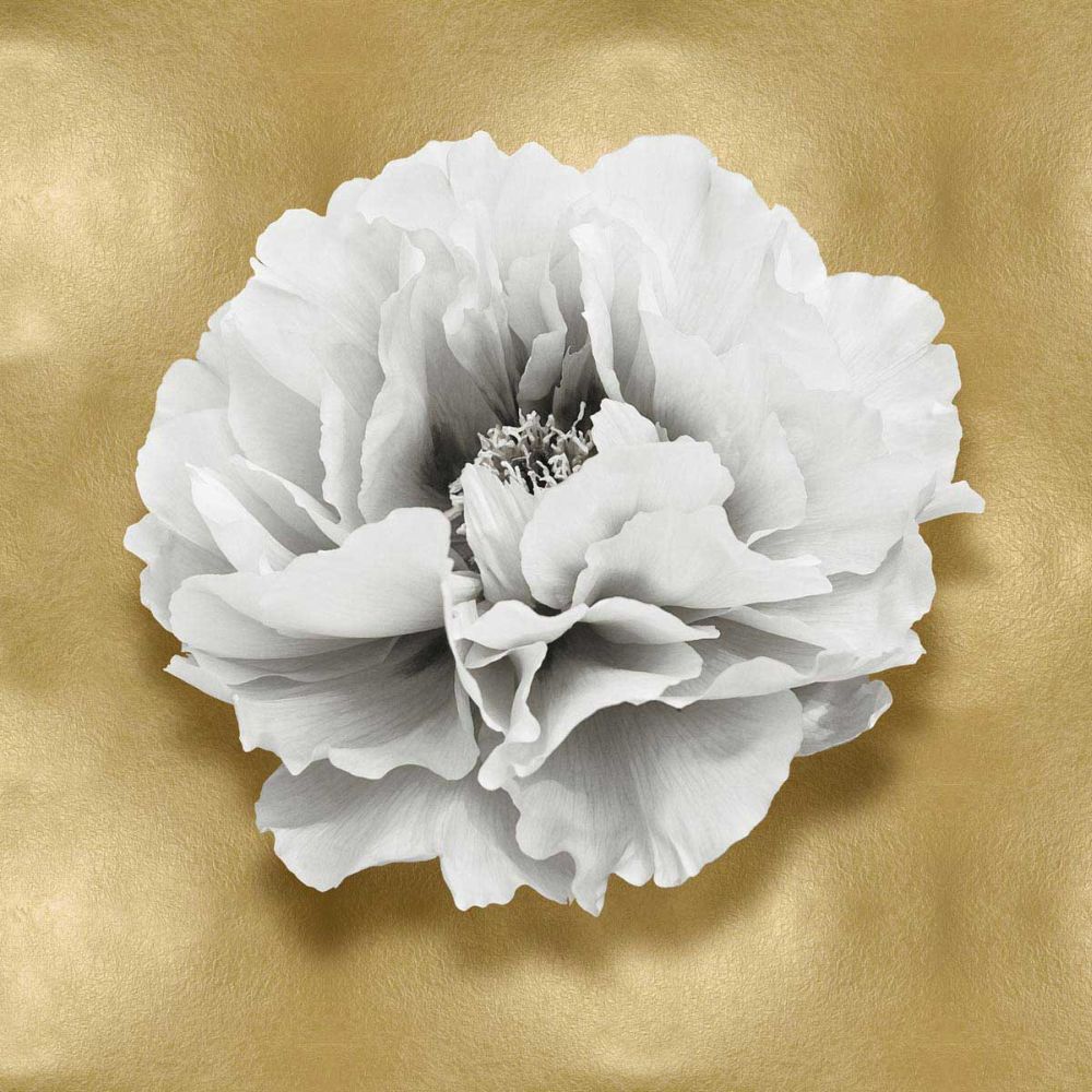 Pure III