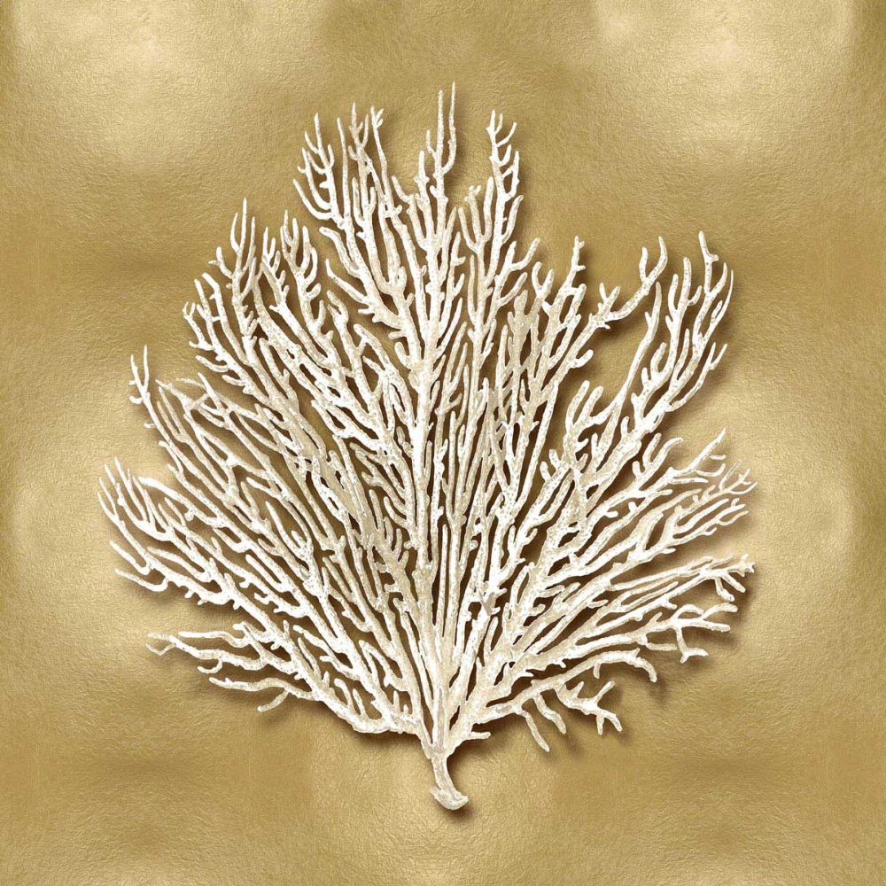 Sea Fan on Gold I
