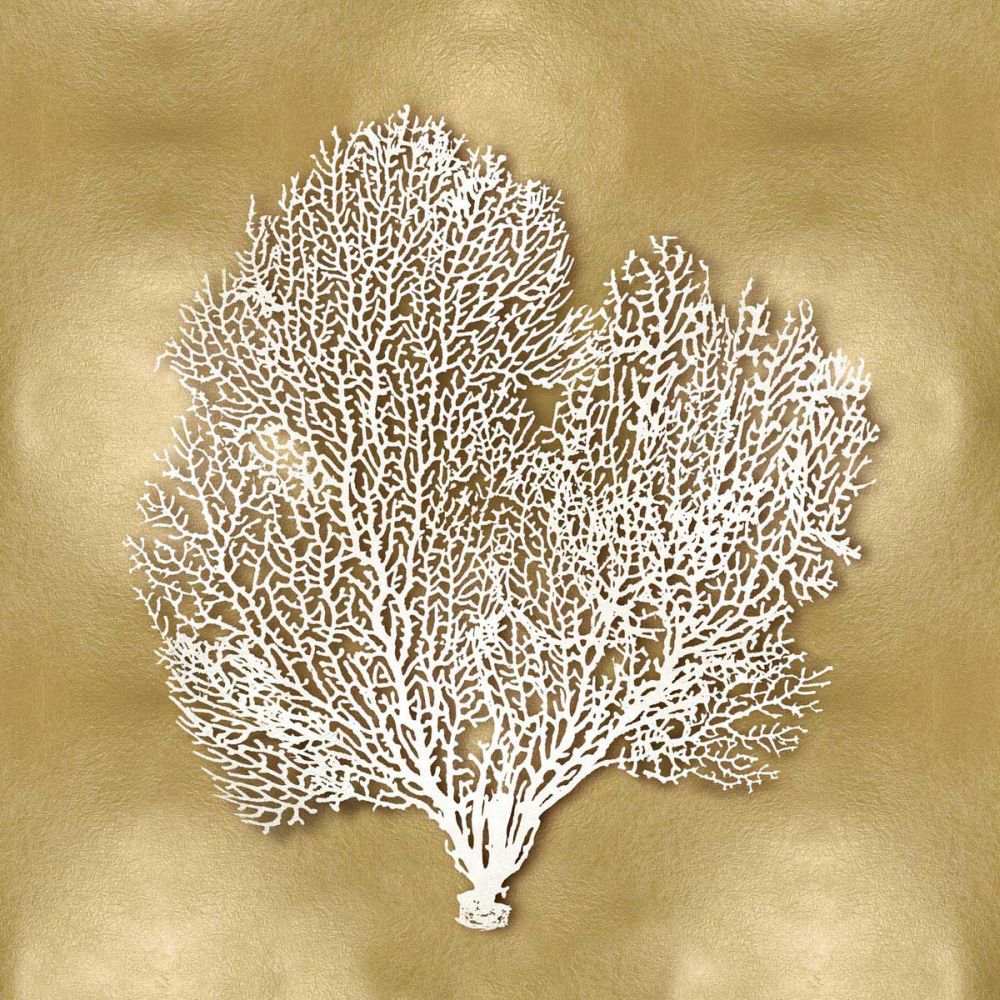 Sea Fan on Gold II