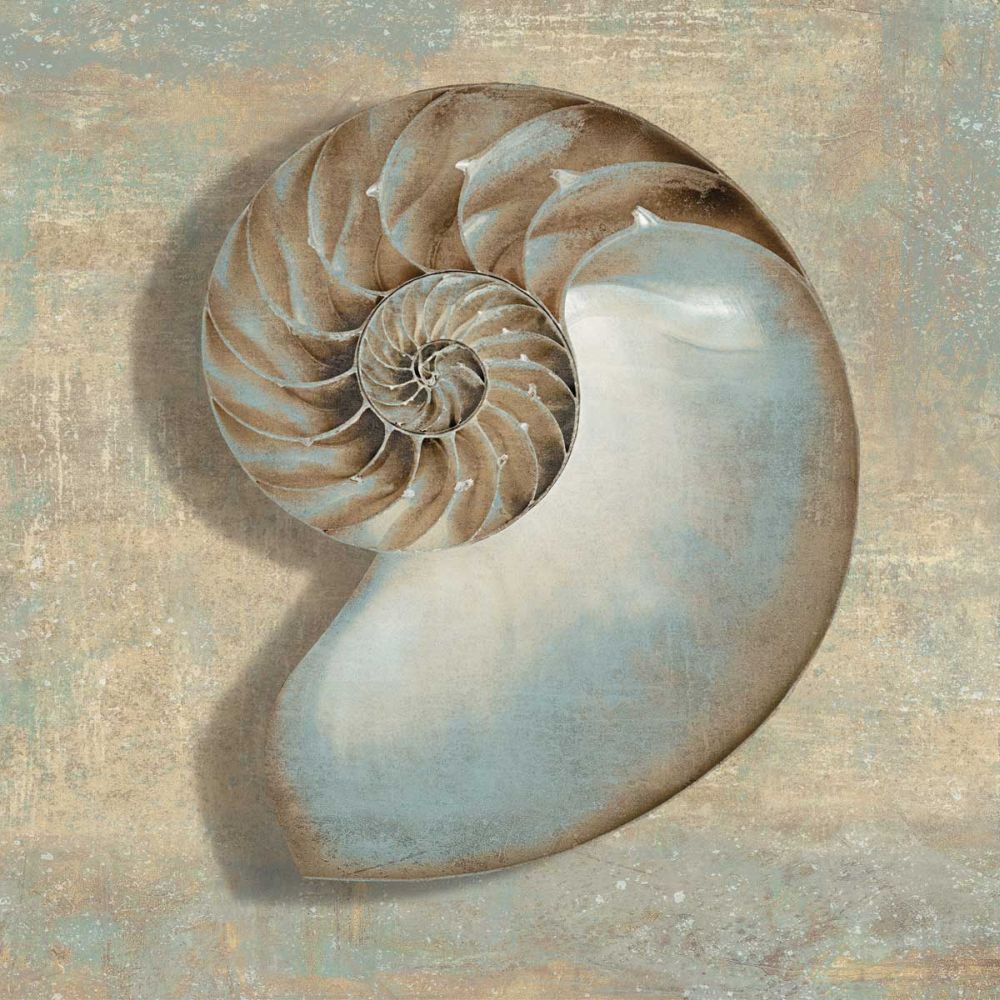 Aqua Nautilus
