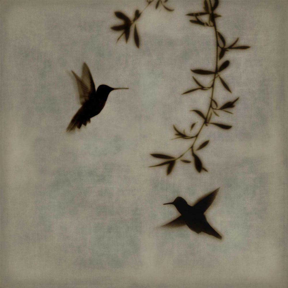 Dance in Flight I