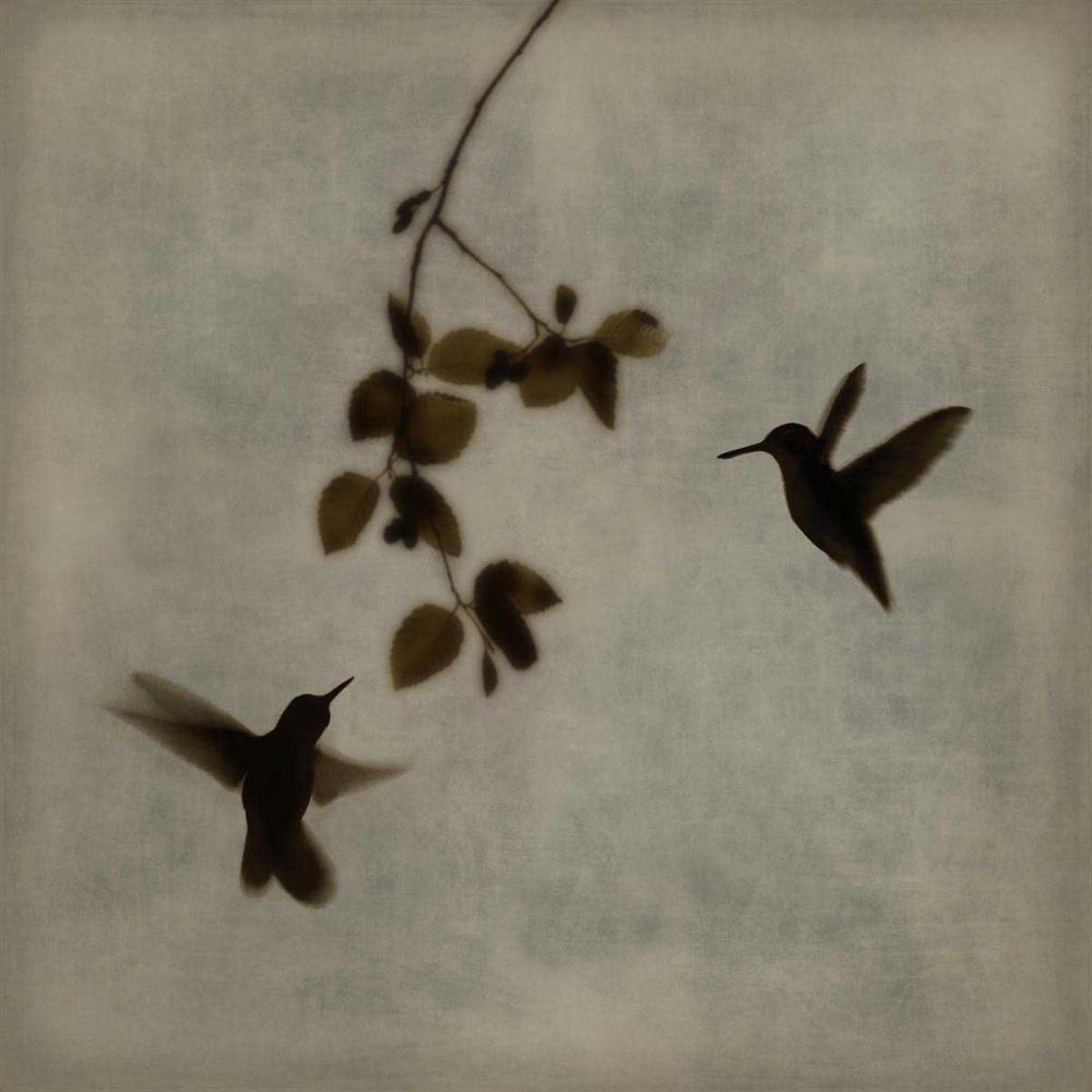 Dance in Flight II