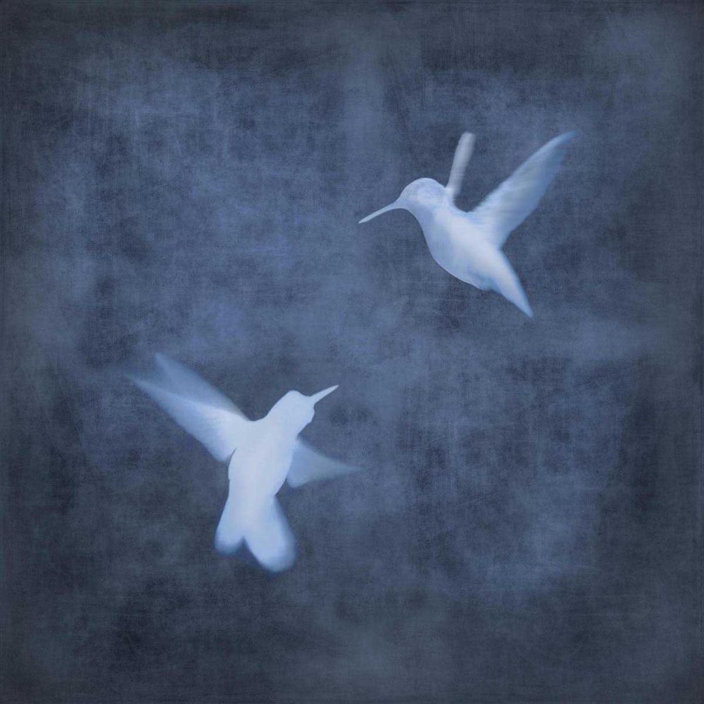 Flight in Blue I
