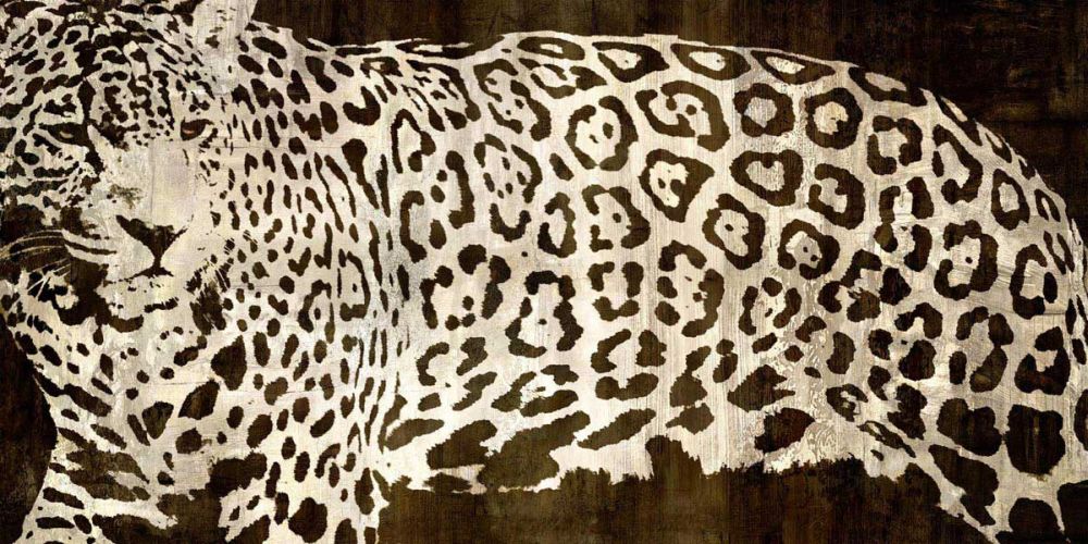 Leopard Encounter