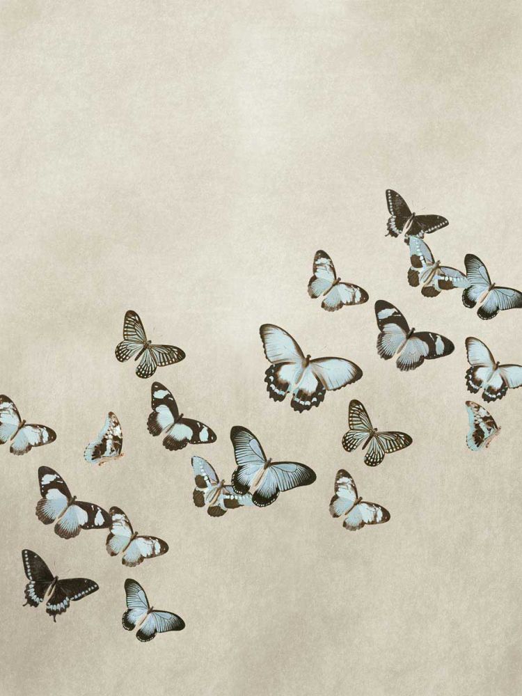 Spring Flight I