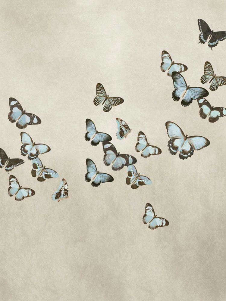 Spring Flight II