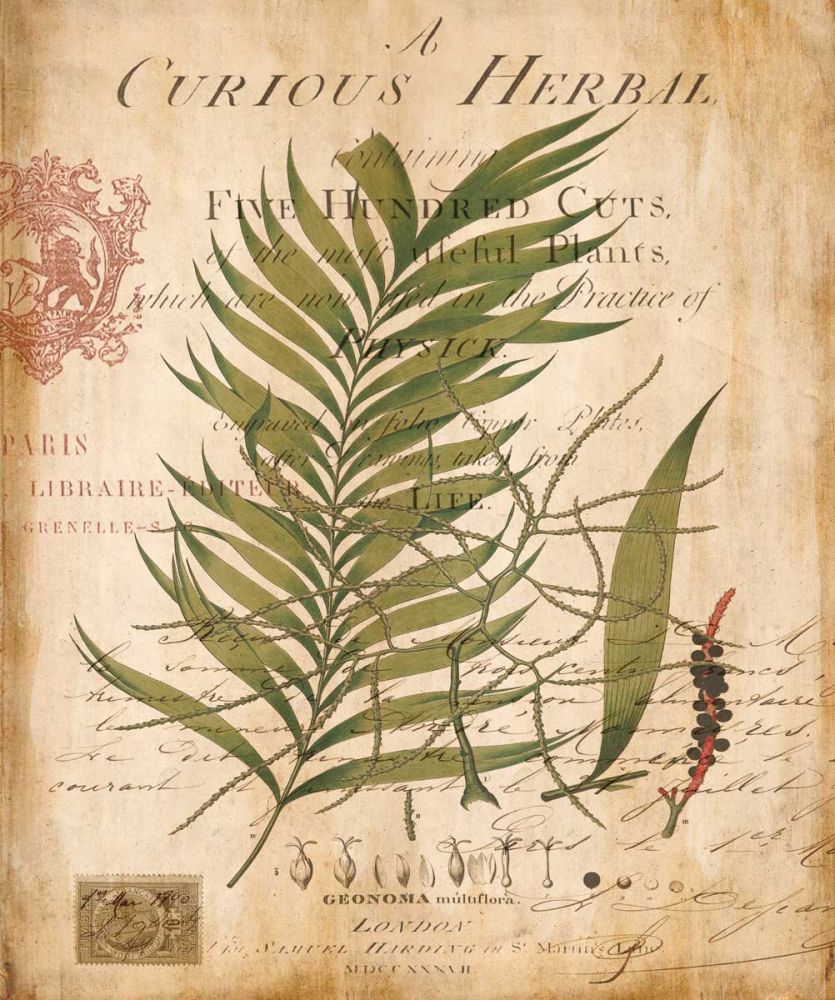 Palm Study I