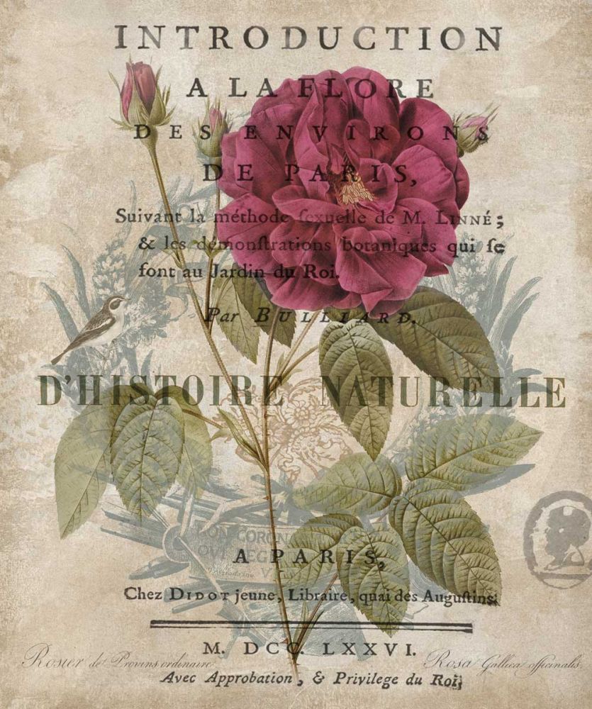 Botanique I