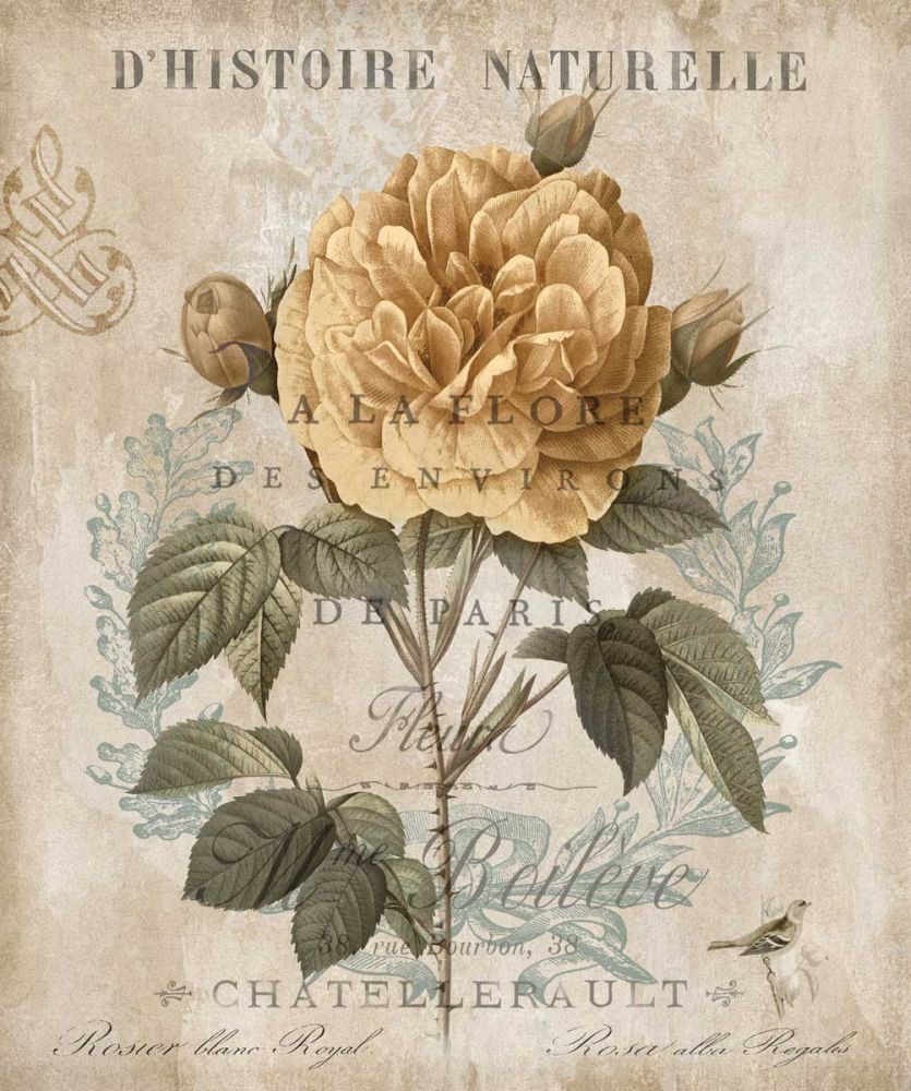 Botanique II