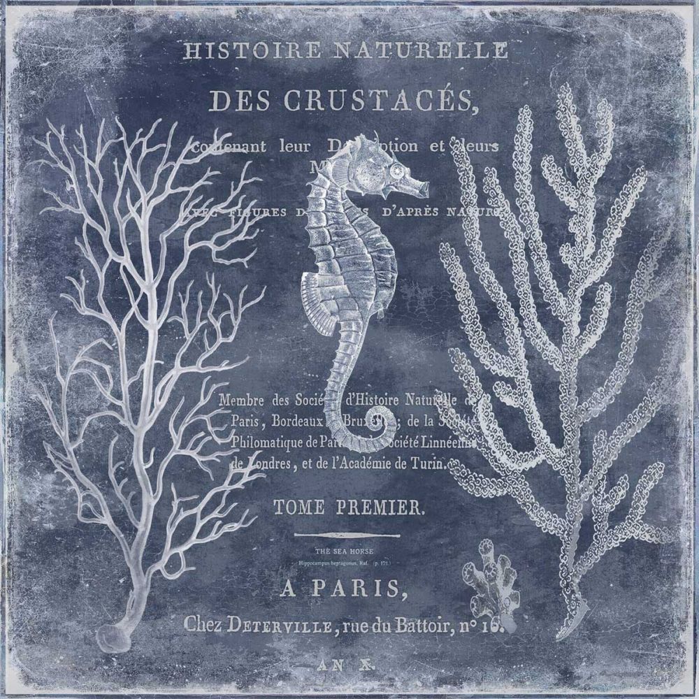The Deep Blue Sea II