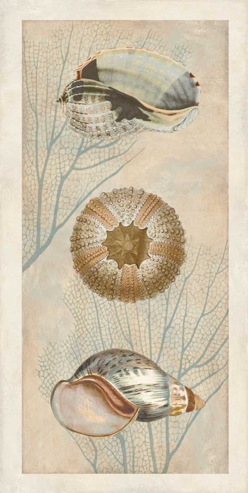 Ocean Companions II