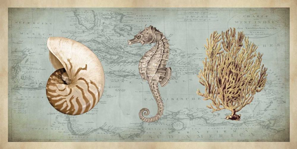 Sea Treasures I
