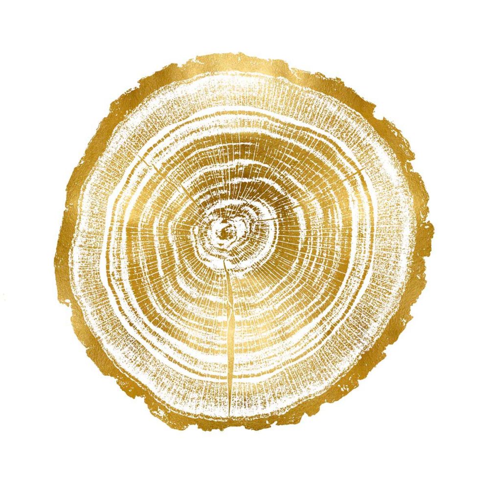 Timber Gold II