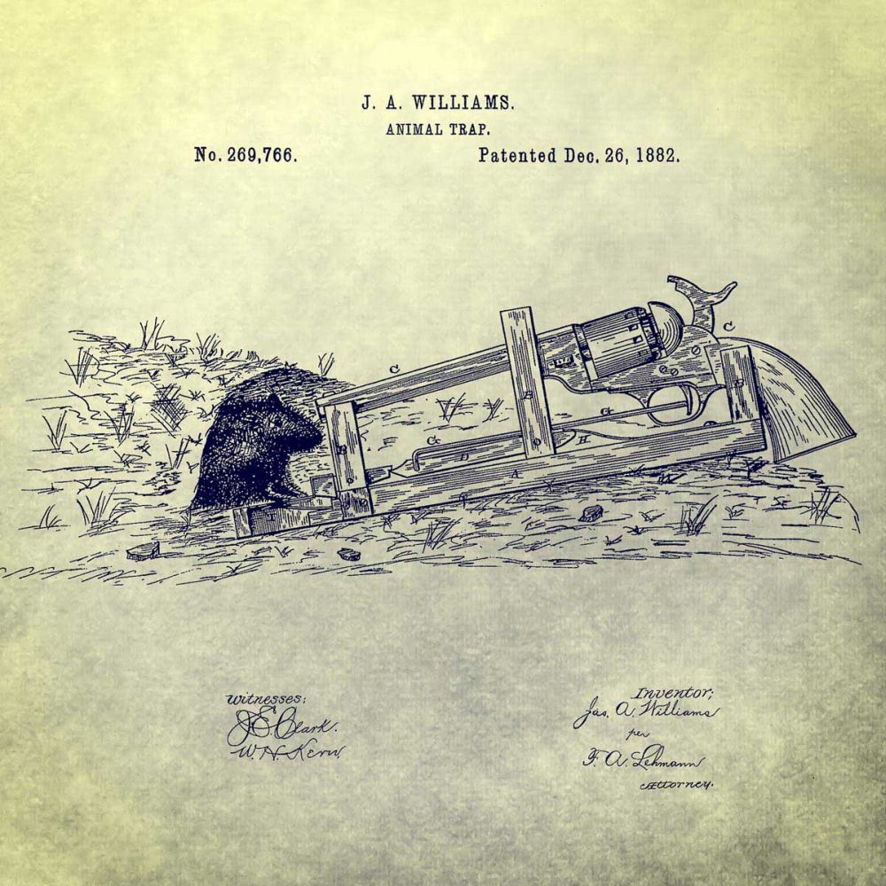 Animal Trap, 1882