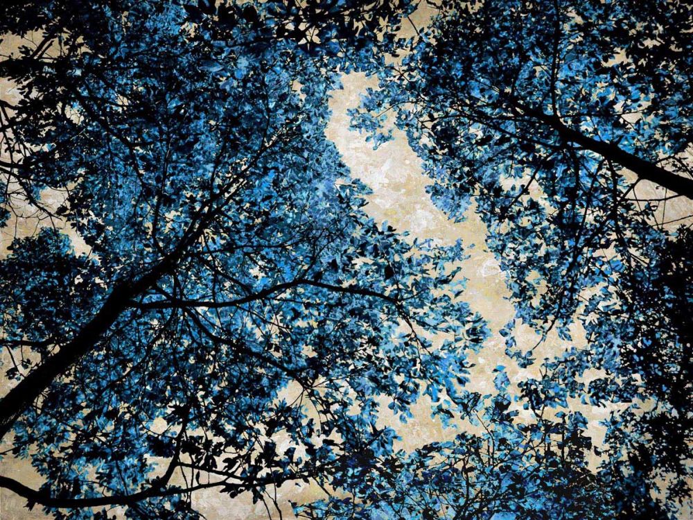 Blue Forest II