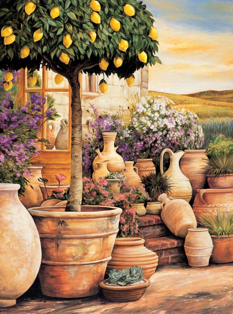 Lemon Topiary