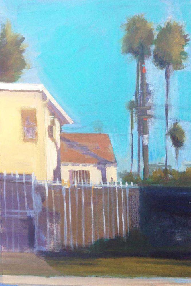 Palms and Shadows