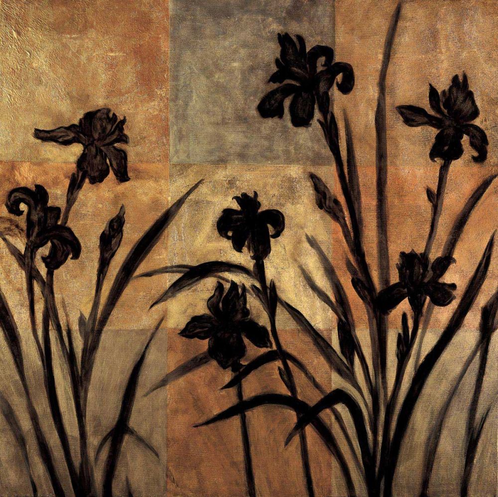 Iris Silhouette II