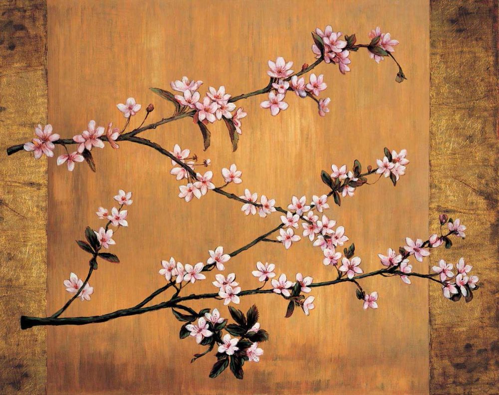 Cherry Blossoms