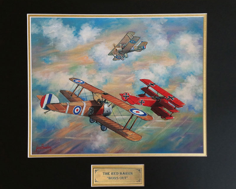 The Red Baron Bugs Out