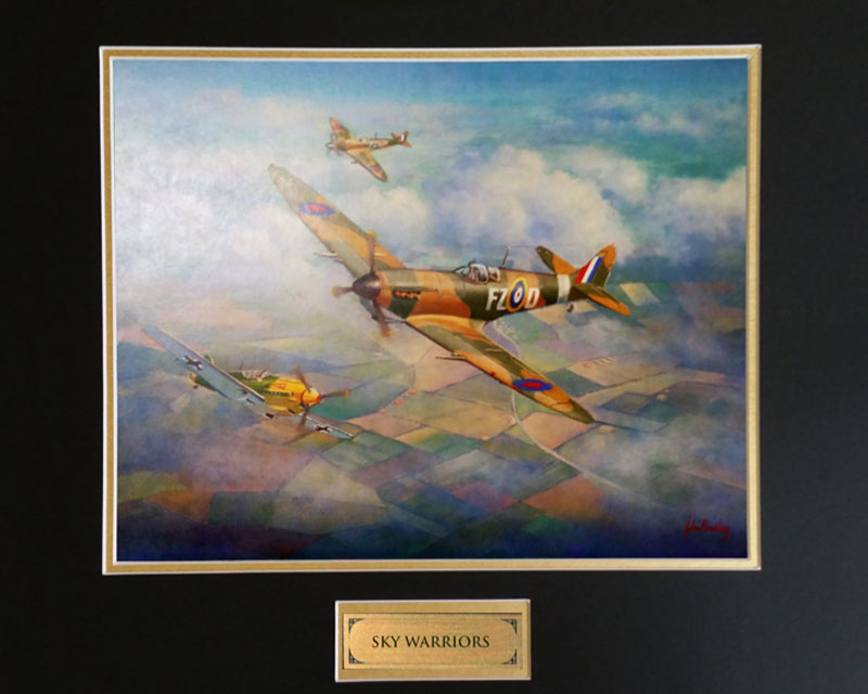 Sky Warriors