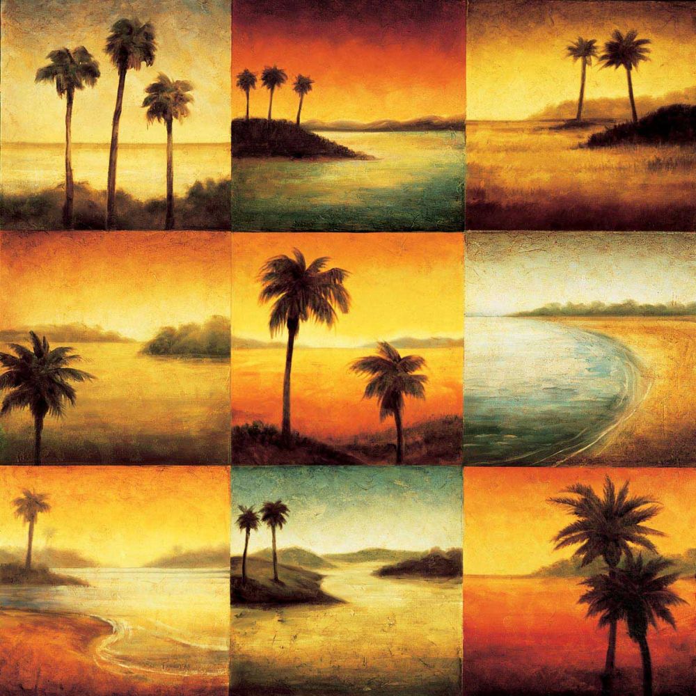 Palm Perspectives