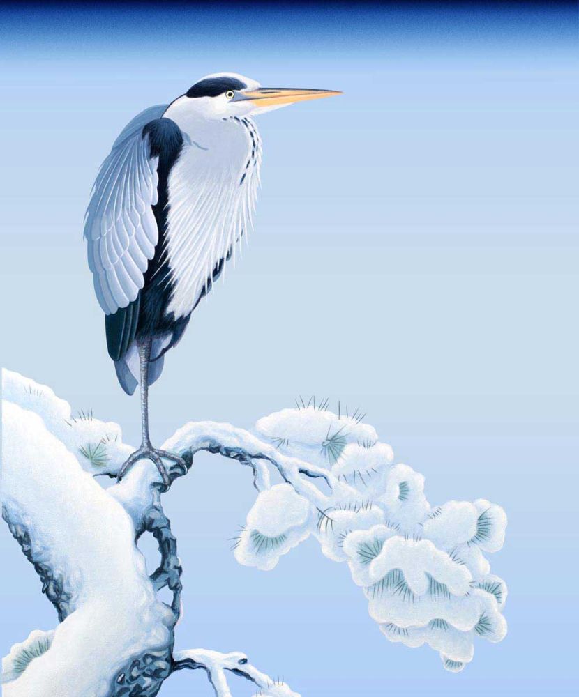 Winter Heron detail