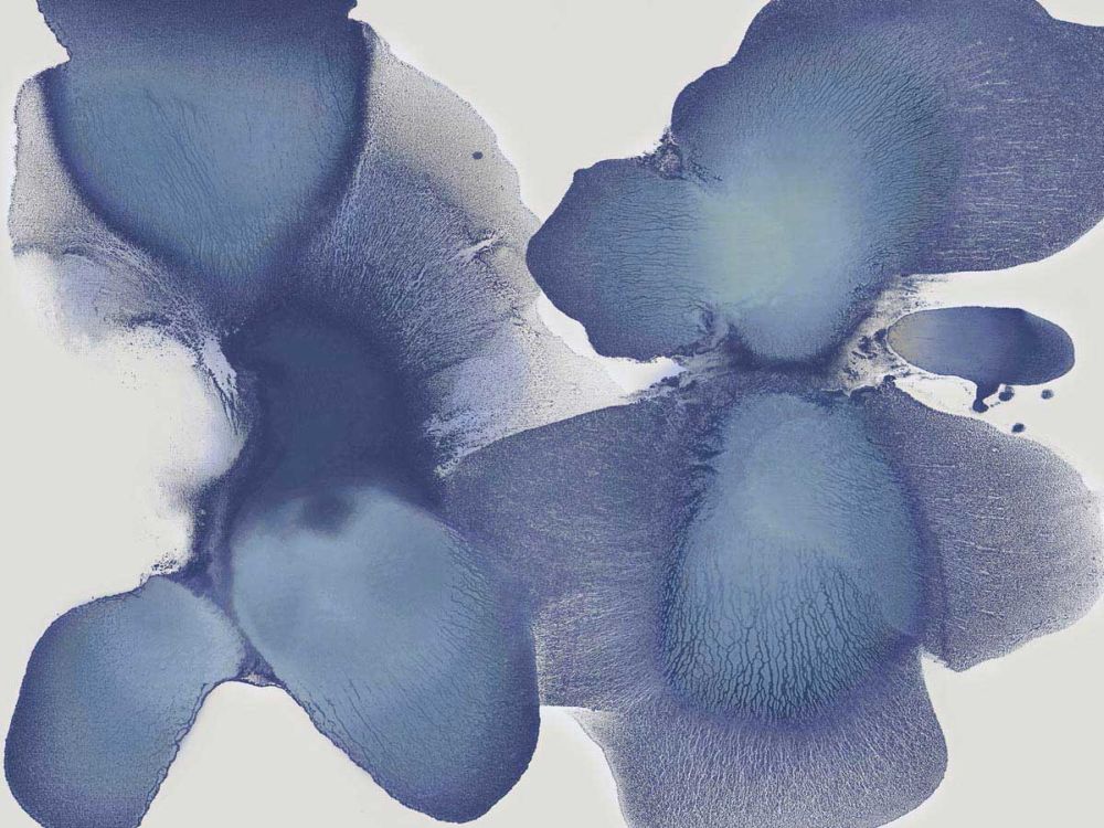Animate Indigo II