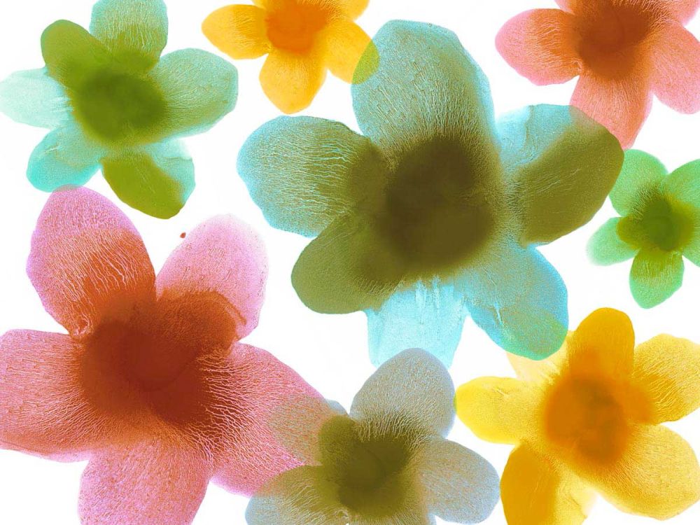 Floral Friends III