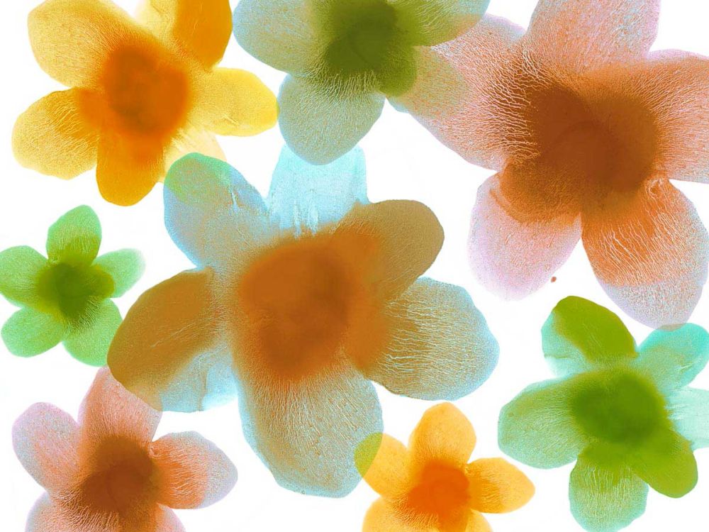 Floral Friends IV