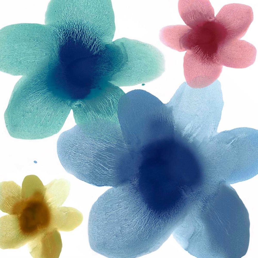 Floral Joy I