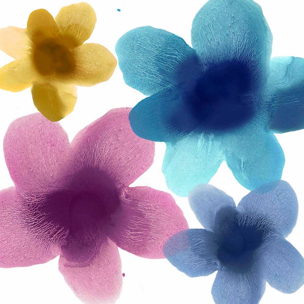 Floral Joy II