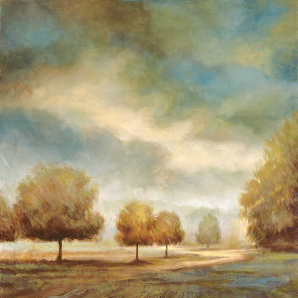 Light and Shadows I