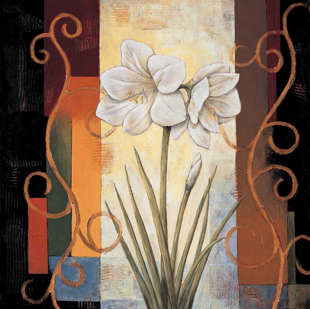 Amaryllis