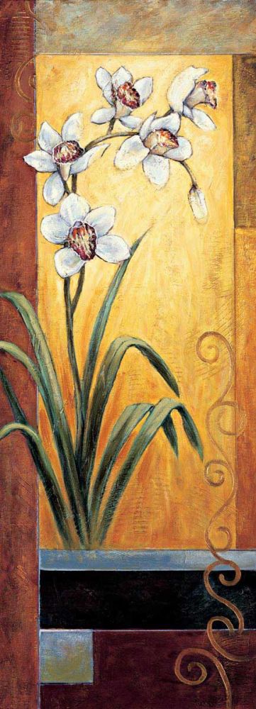 Orchid