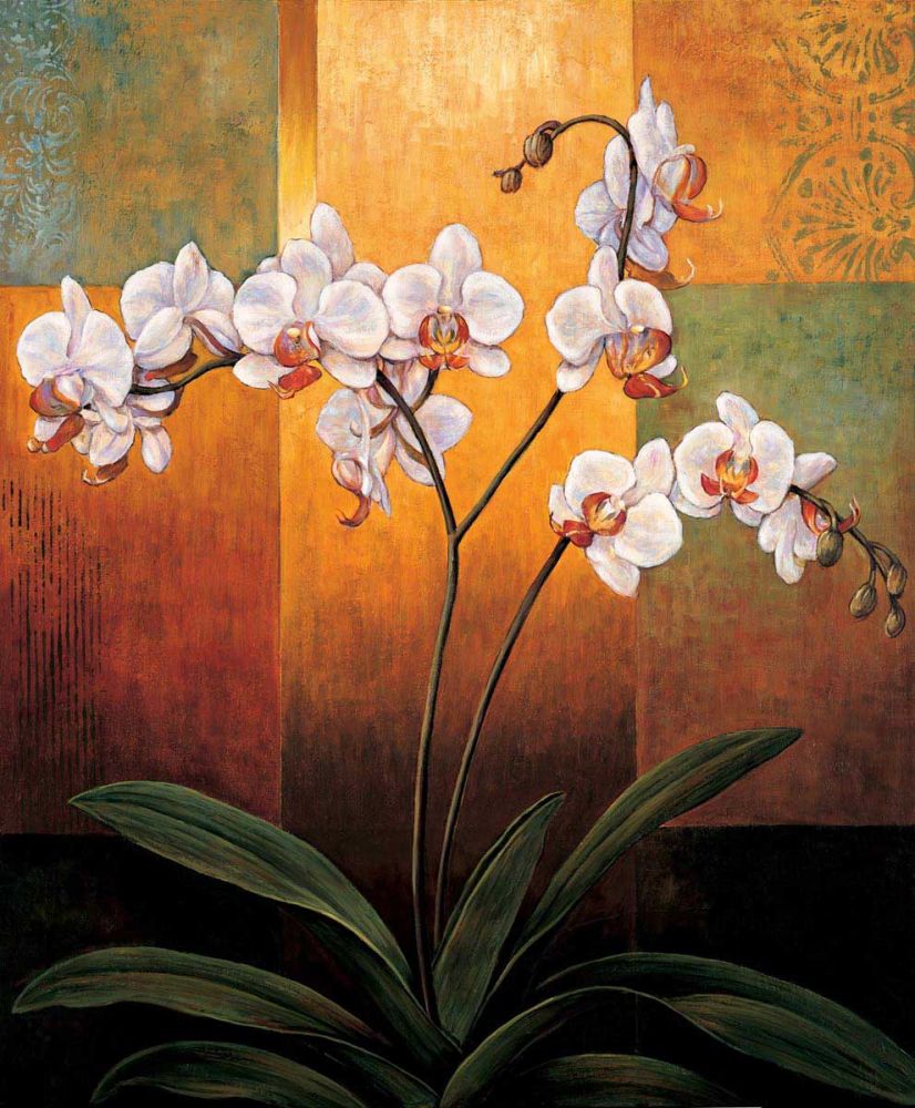 Orchids